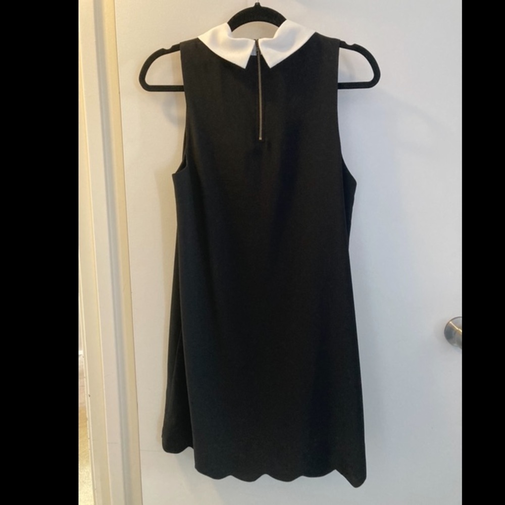 Little black dress with collar. - Picture 3 of 3